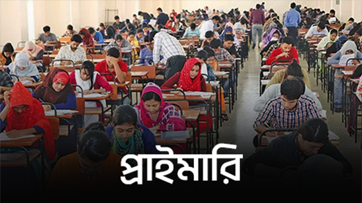 প্রাইমারি